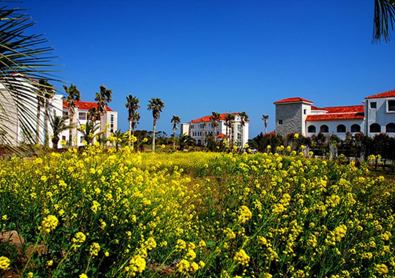Lasania Resort Seogwipo Exterior photo